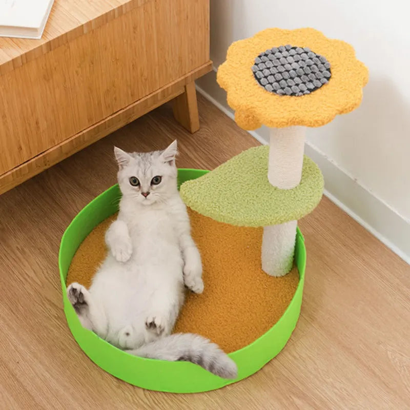 Arbre à chat coloré - Miaouland Jardin