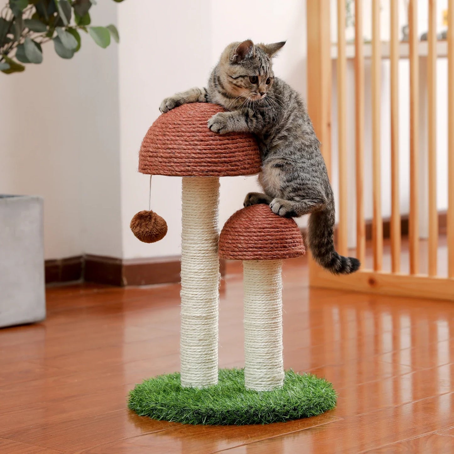 Arbre à chat pas cher - Champignon Pro