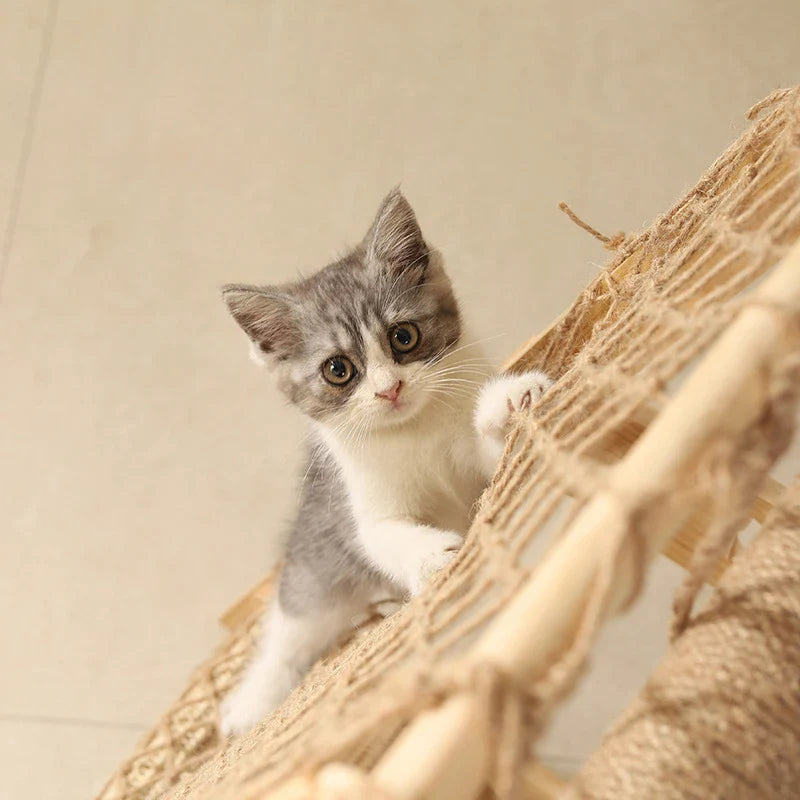 Aventurichat Arbre a chat en bois multifonctions avec hamac