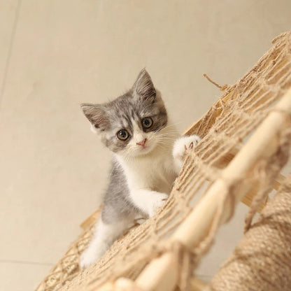 Aventurichat Arbre a chat en bois multifonctions avec hamac