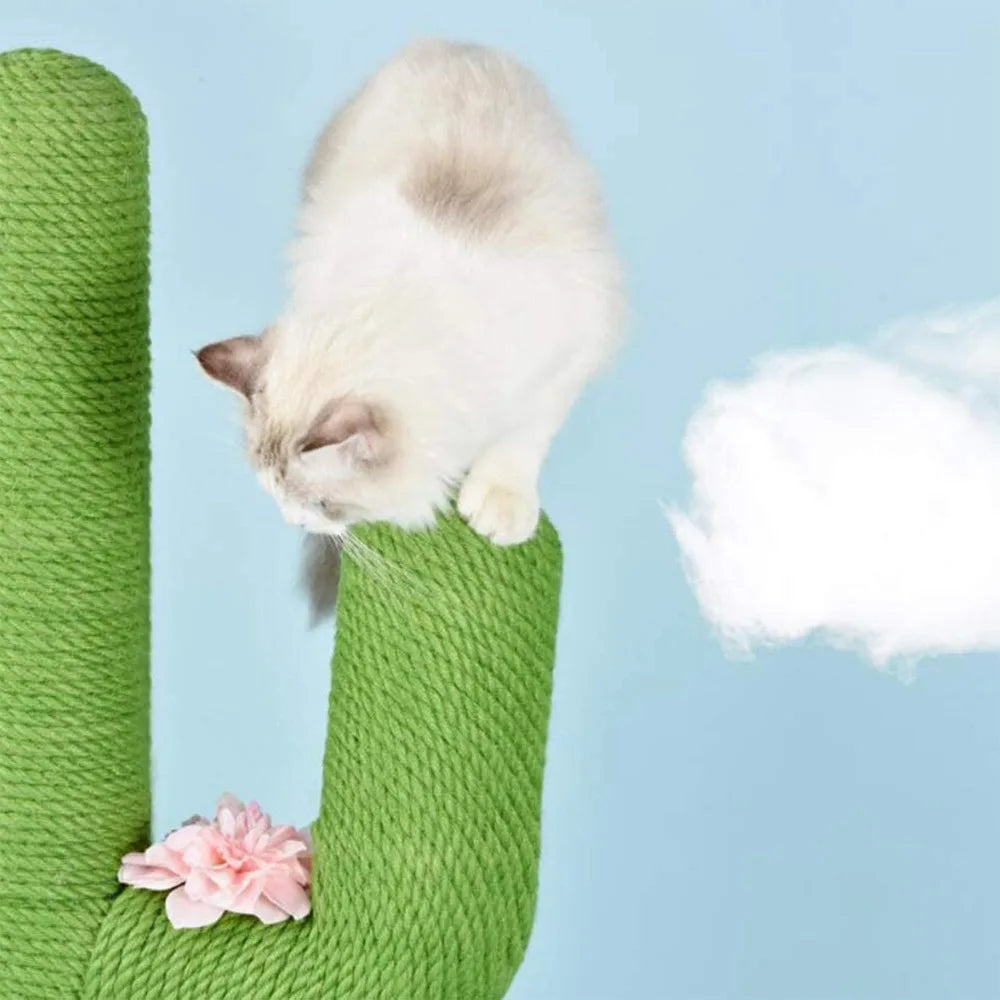 Arbre a chat Cactus - MiaouCactus Pro