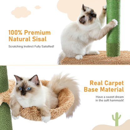 Arbre à chat ajustable du sol au plafond - CactusEscapade