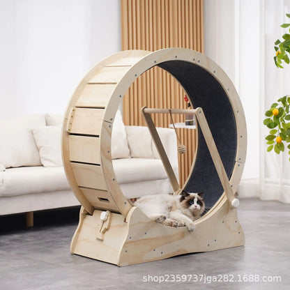 Arbre à chat - Roue pour chat | ChatMster