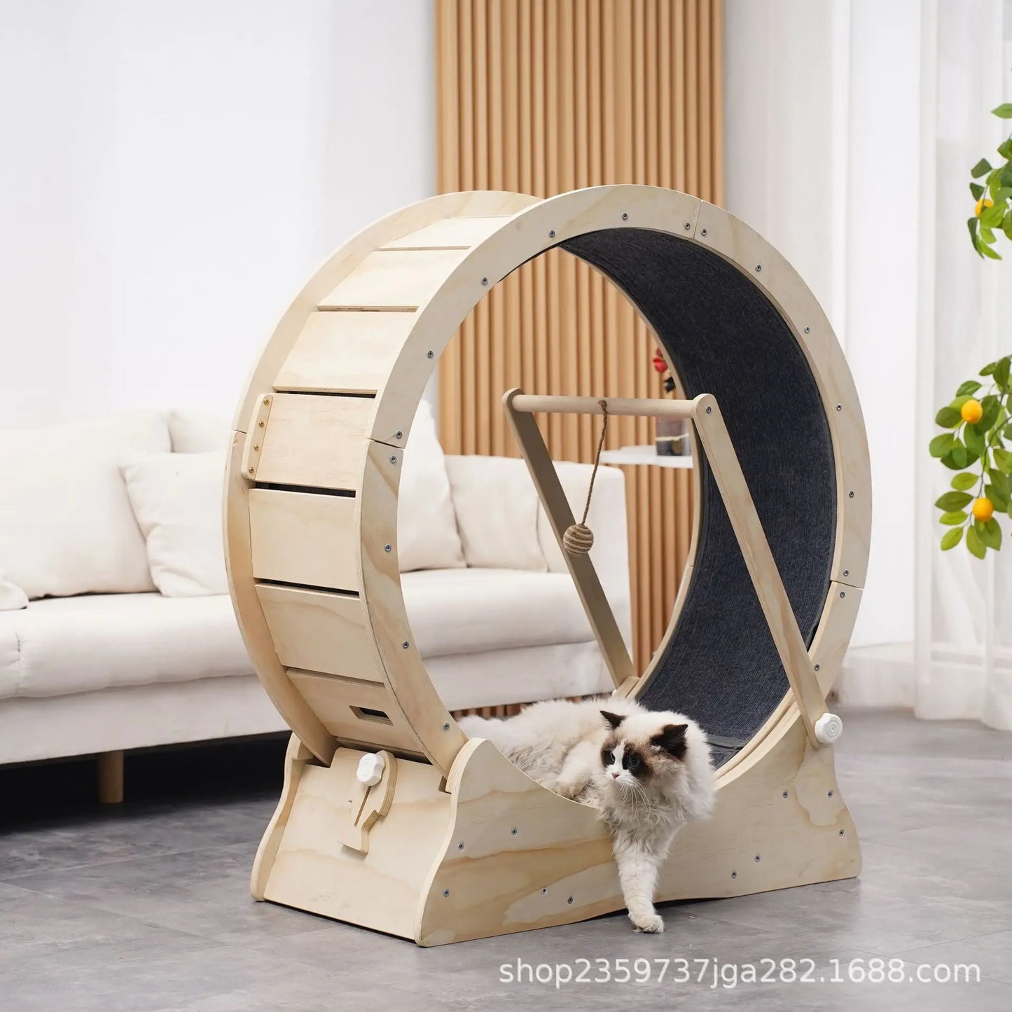 Arbre à chat - Roue pour chat | ChatMster
