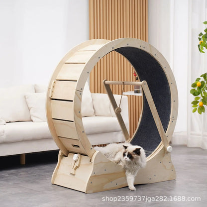 Arbre à chat - Roue pour chat | ChatMster