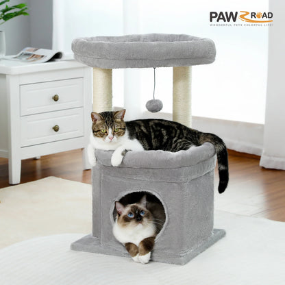 CosyNiche Arbre à chat compact avec condo et perchoir