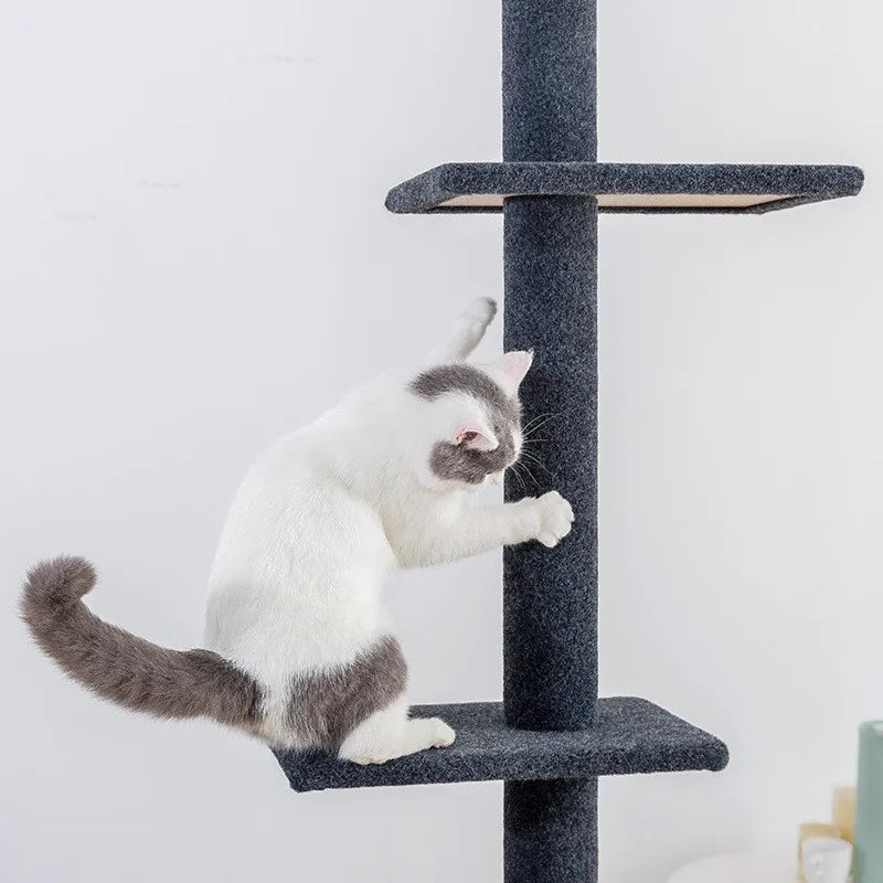 Arbre à chat Maine Coon SkyTower - ajustable sol-plafond