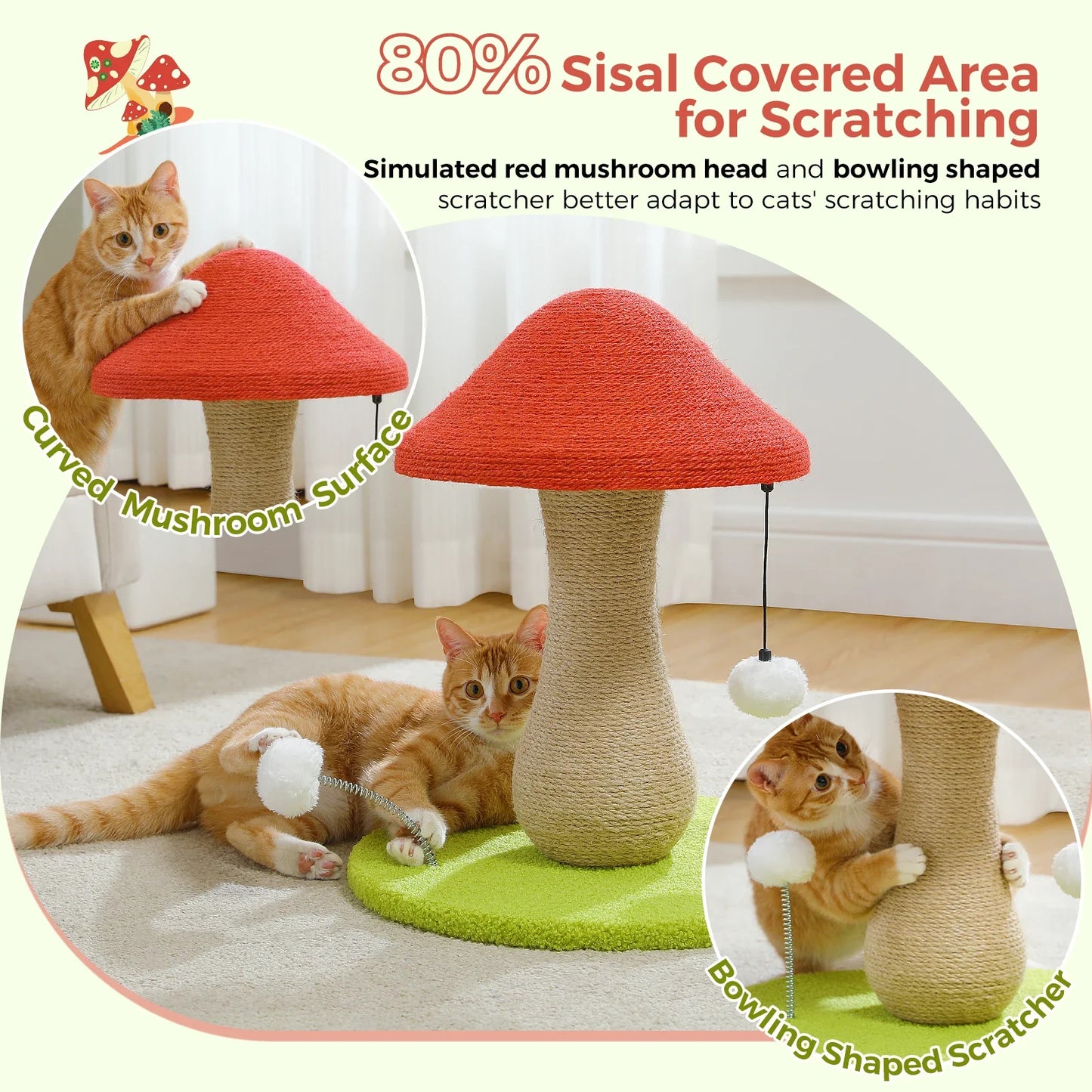Arbre à chat pas cher - Champignon Pro