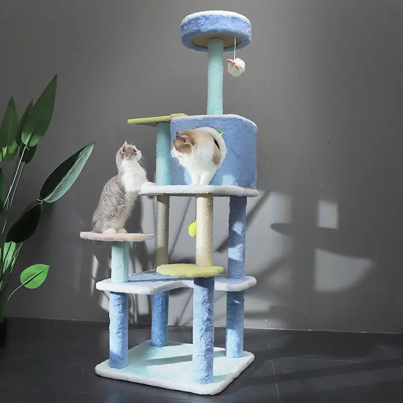 Arbre à chat bleu - Chat-astrophique, élégance féline