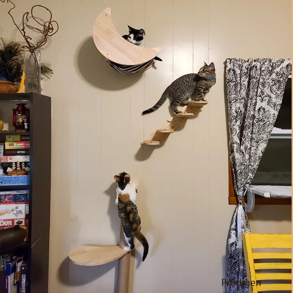 Arbre a chat Mural en Bois - PerchoirFélin Premium