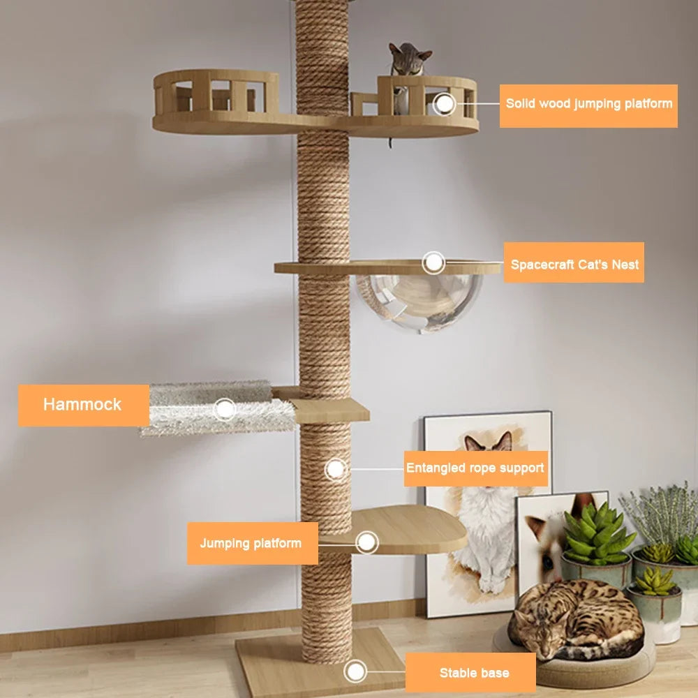 SkyCat Arbre à chat XXL en bois naturel du sol au plafond