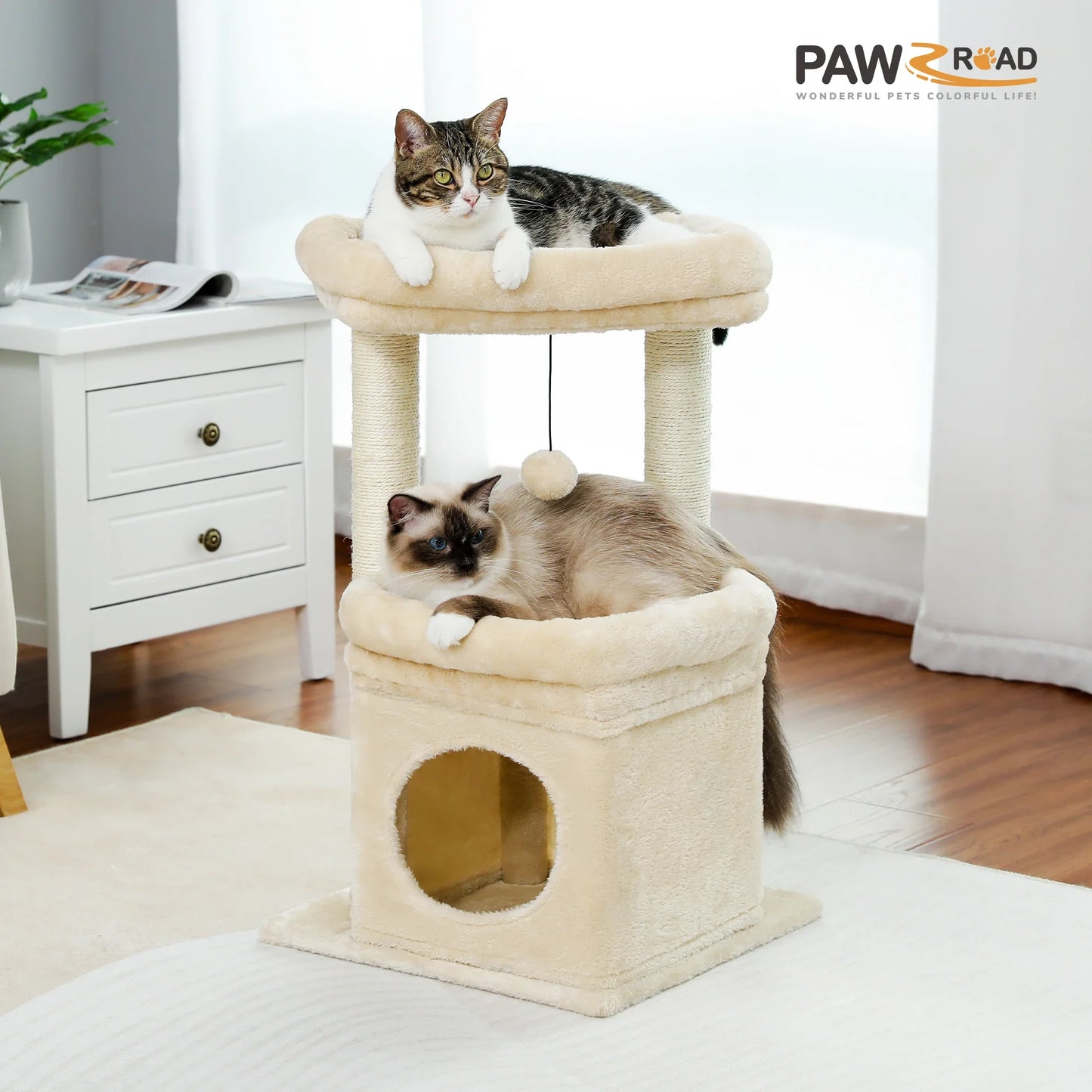 CosyNiche Arbre à chat compact avec condo et perchoir