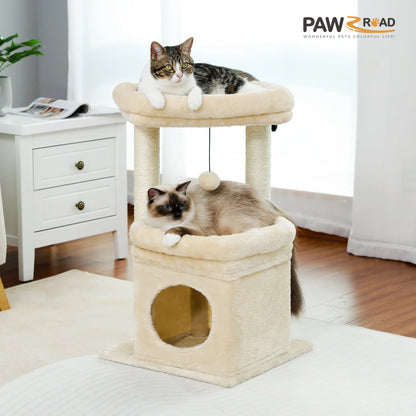 CosyNiche Arbre à chat compact avec condo et perchoir