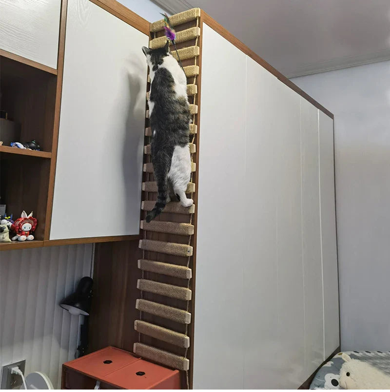 Pont Suspendu pour Chats – CatAventure DIY