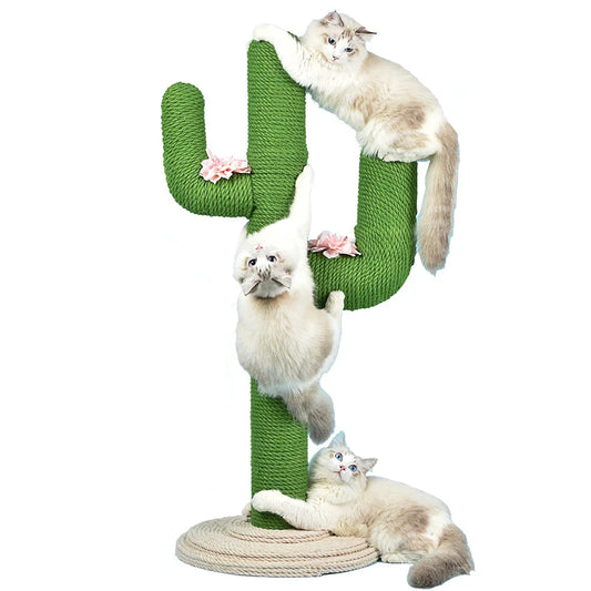 Arbre a chat Cactus - MiaouCactus Pro