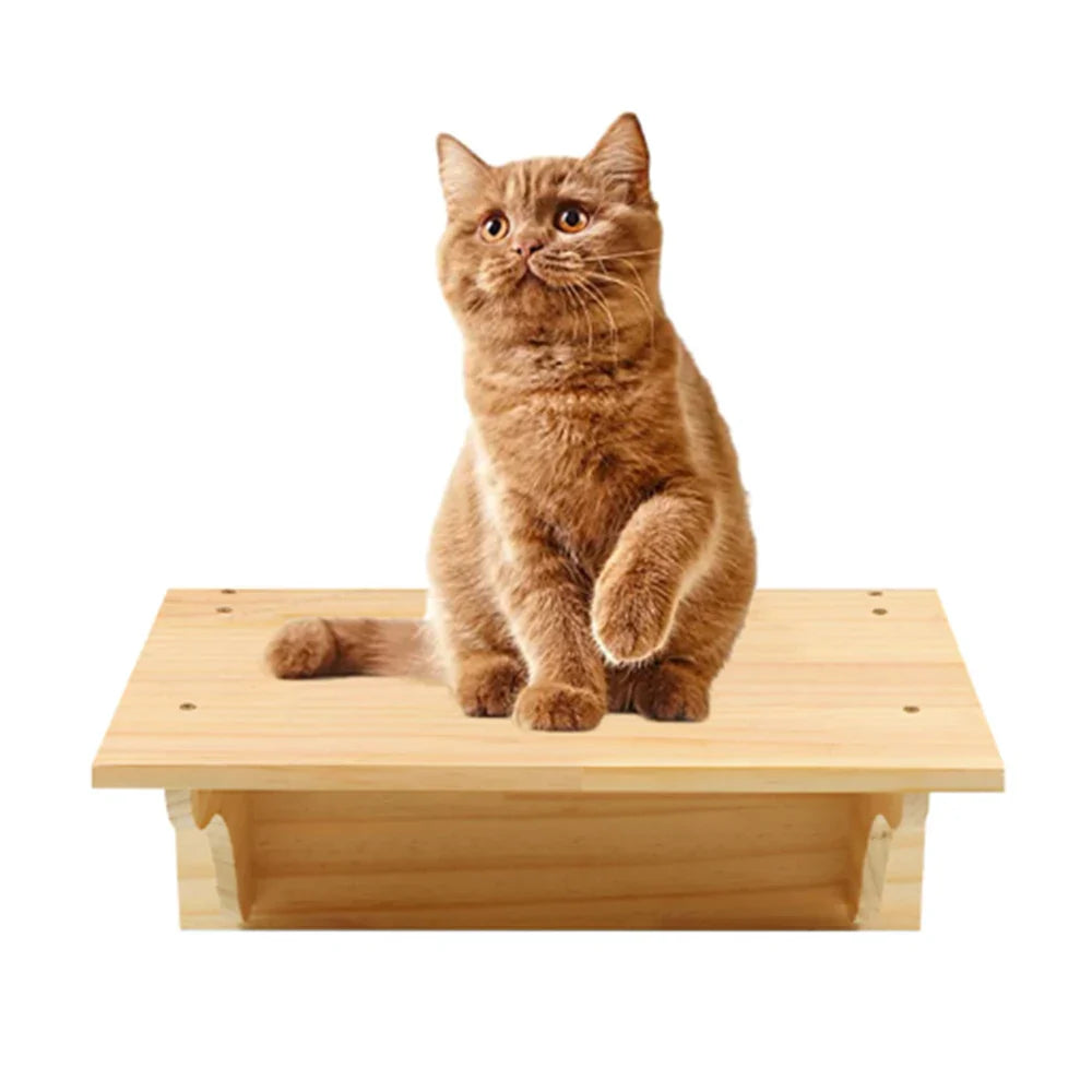 Arbre a chat mural - tube transparent - MerveillesMurales