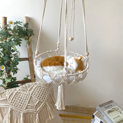 Nid Douillet suspendu pour Chat - NidSuspendu Pro