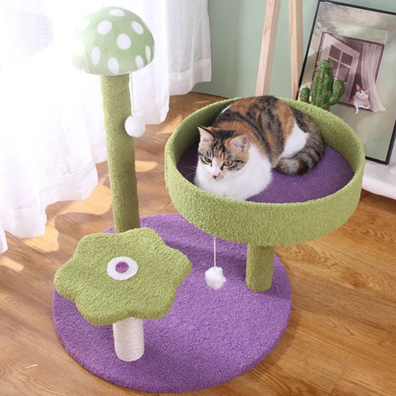 Arbre à chat coloré - Miaouland Jardin