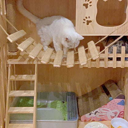 Pont Suspendu / Echelle pour Chats aventuriers - Acrobatix