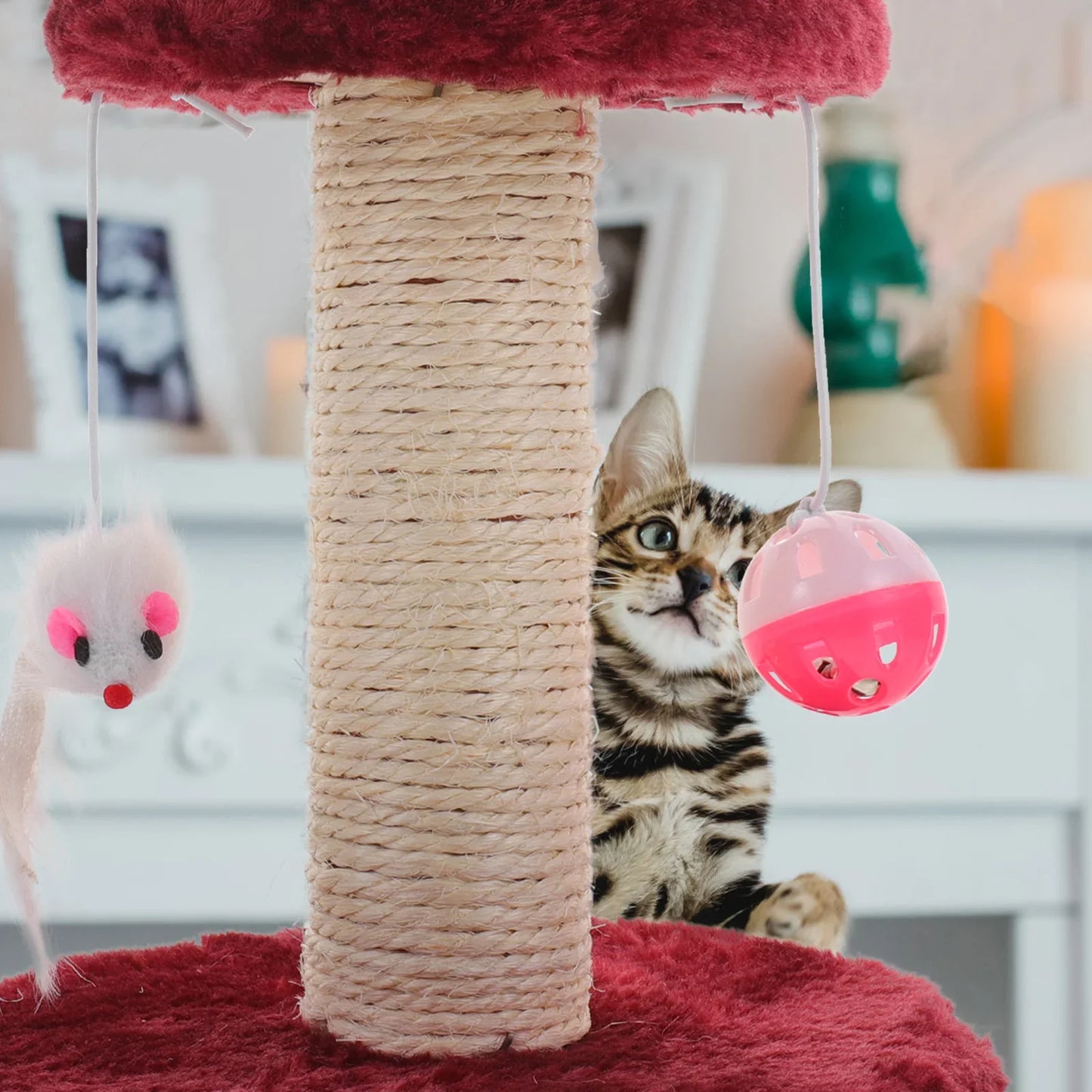 Arbre a chat pas cher en sisal | PatteDouce