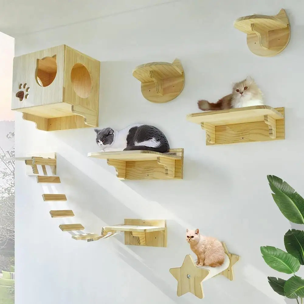 Arbre a chat mural - tube transparent - MerveillesMurales