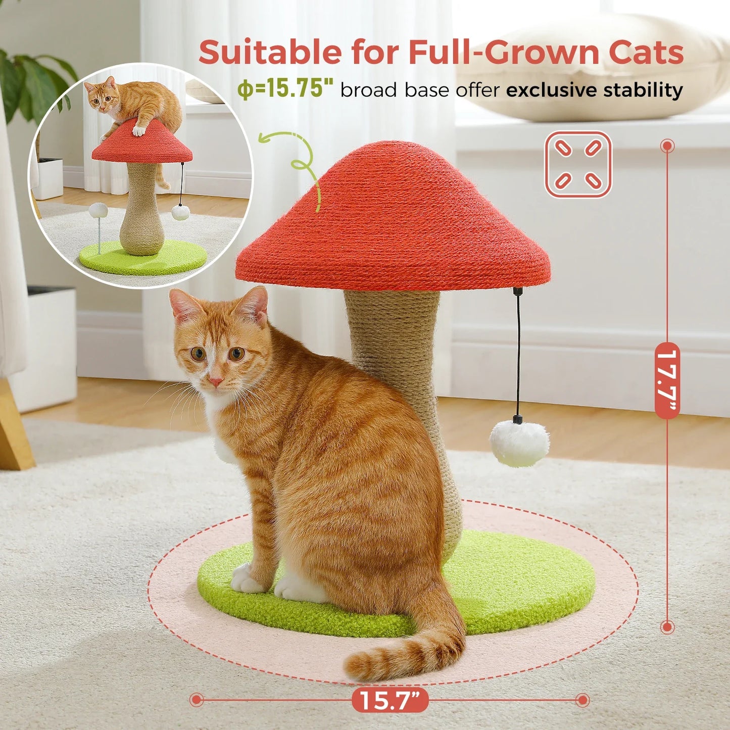 Arbre à chat pas cher - Champignon Pro