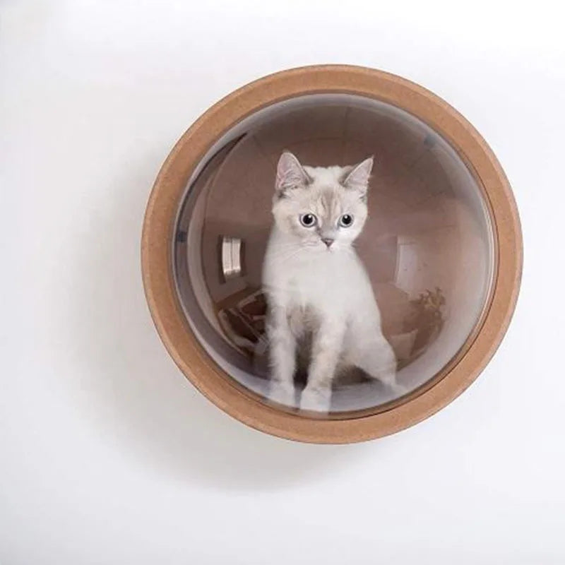 Arbre à chat Capsule spatiale Pro avec dôme d'observation