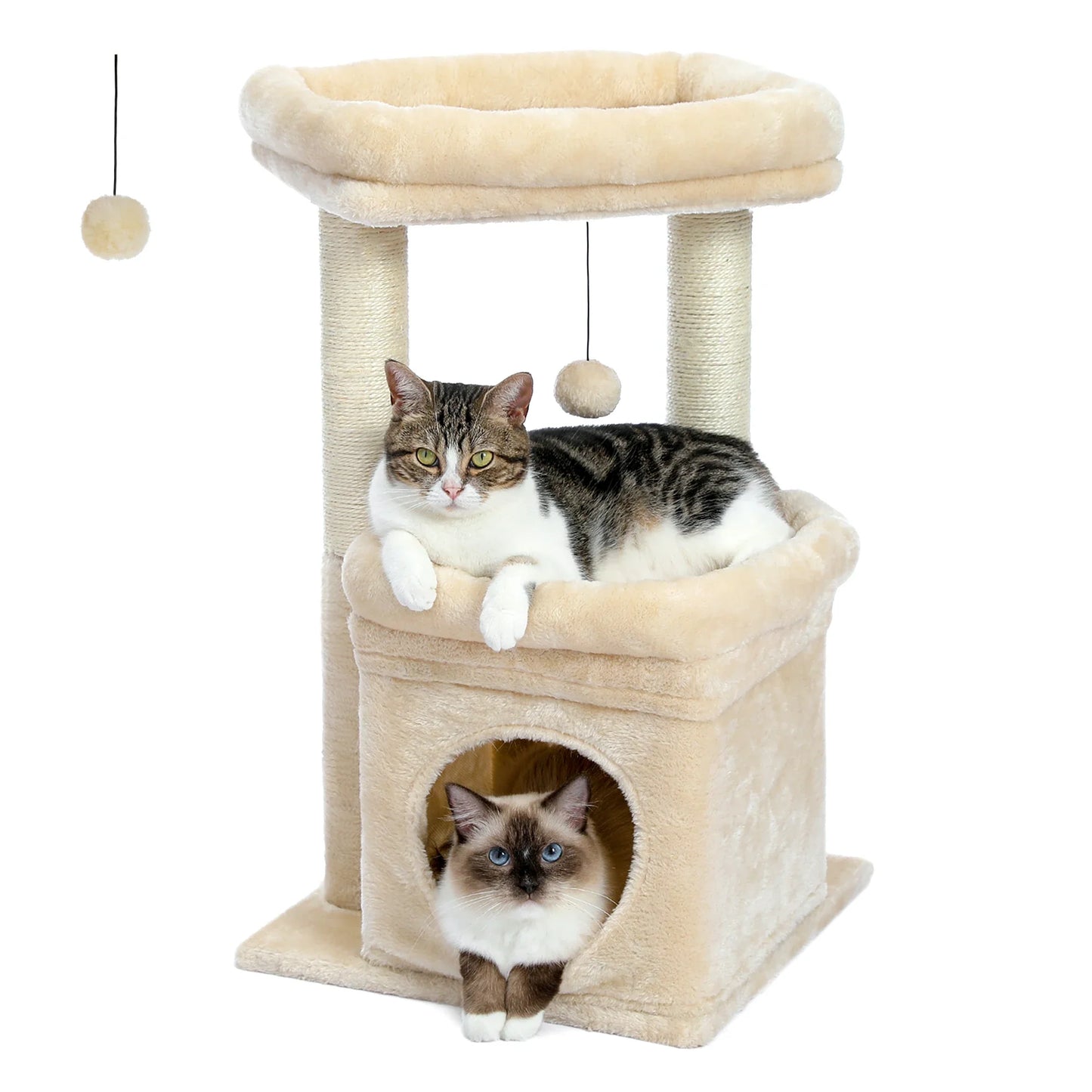 CosyNiche Arbre à chat compact avec condo et perchoir
