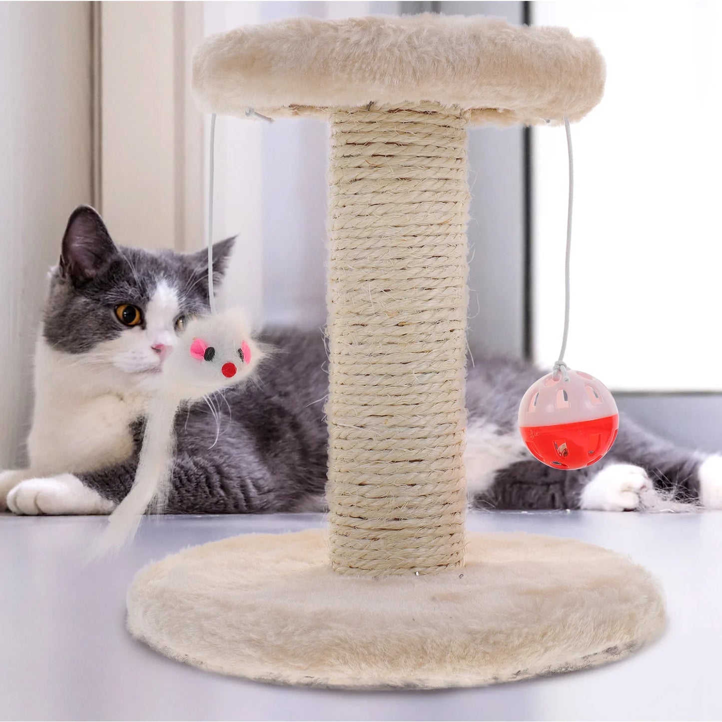 Arbre a chat pas cher en sisal | PatteDouce