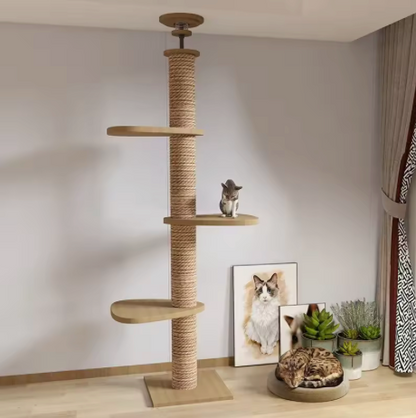 SkyCat Arbre à chat XXL en bois naturel du sol au plafond