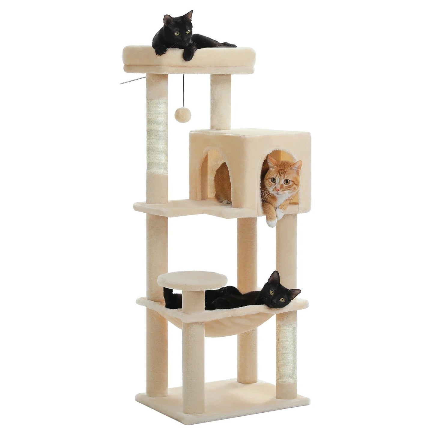 FelineKingdom arbre a chat maine coon – multi-niveaux