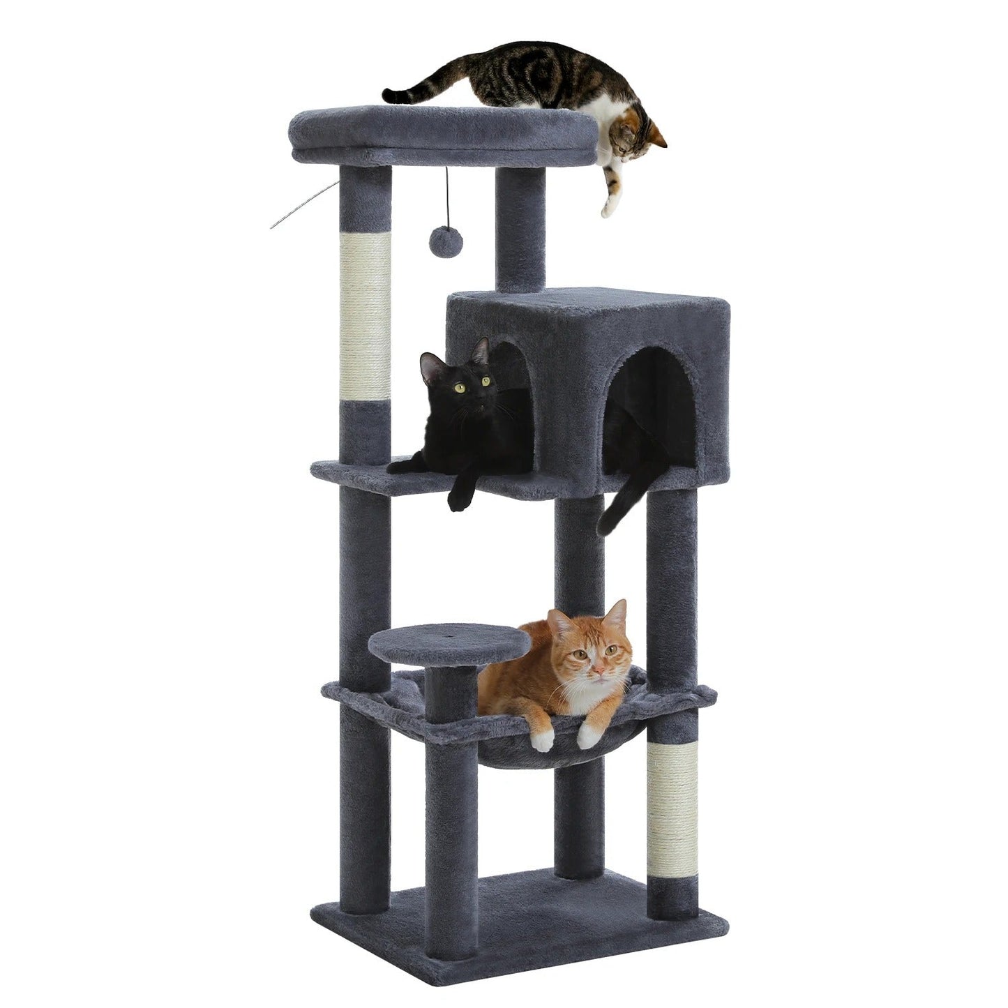 FelineKingdom arbre a chat maine coon – multi-niveaux