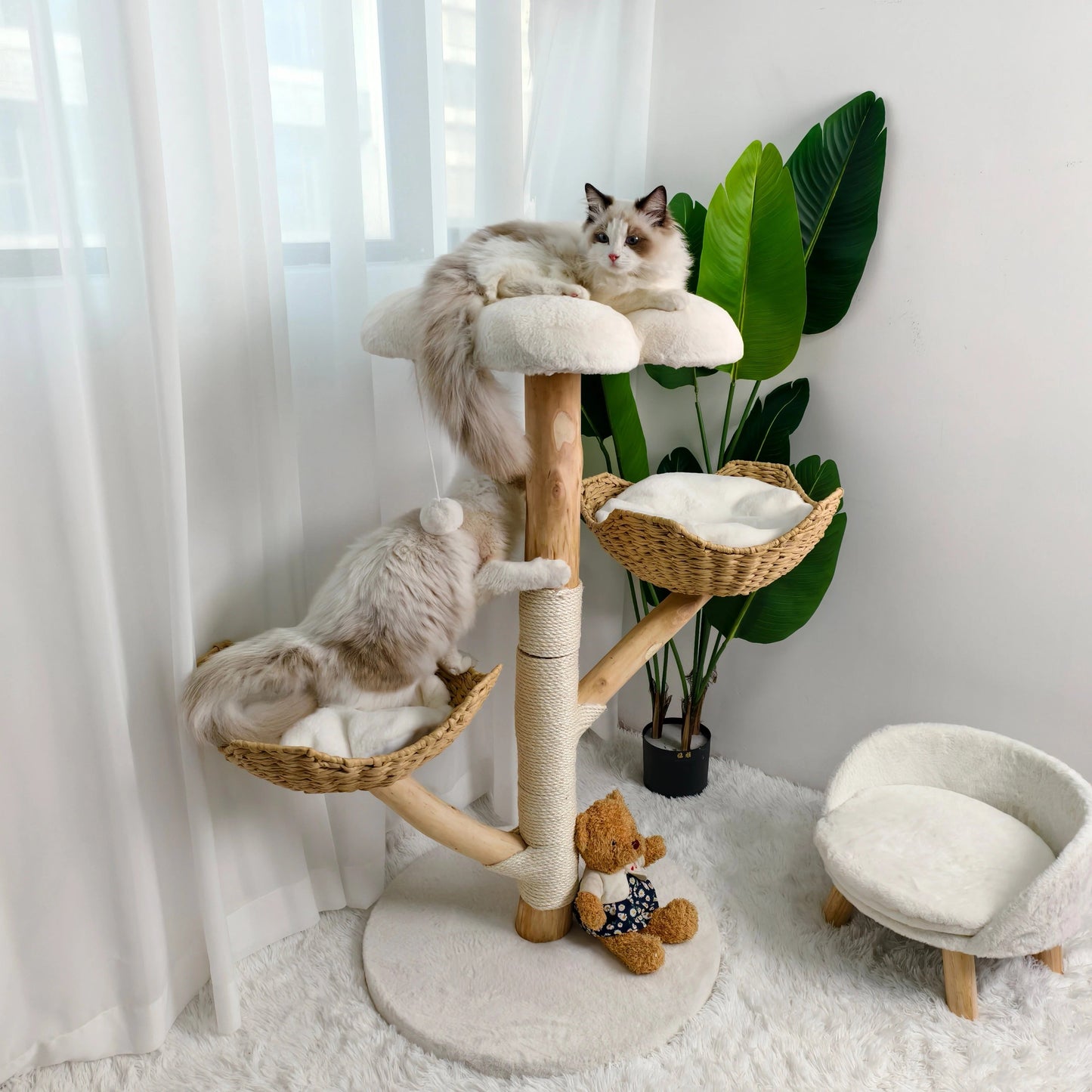Arbre a chat Design Bois Massif - SkyNest Mini