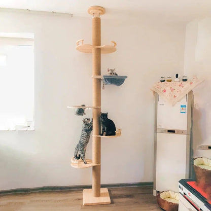 SkyCat Arbre à chat XXL en bois naturel du sol au plafond
