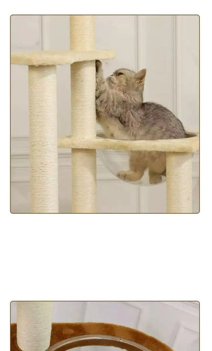 Arbre a chat SkyNest Design Bois Massif - Dôme