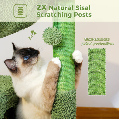 Arbre a chat PurrCactus Cactus Vert