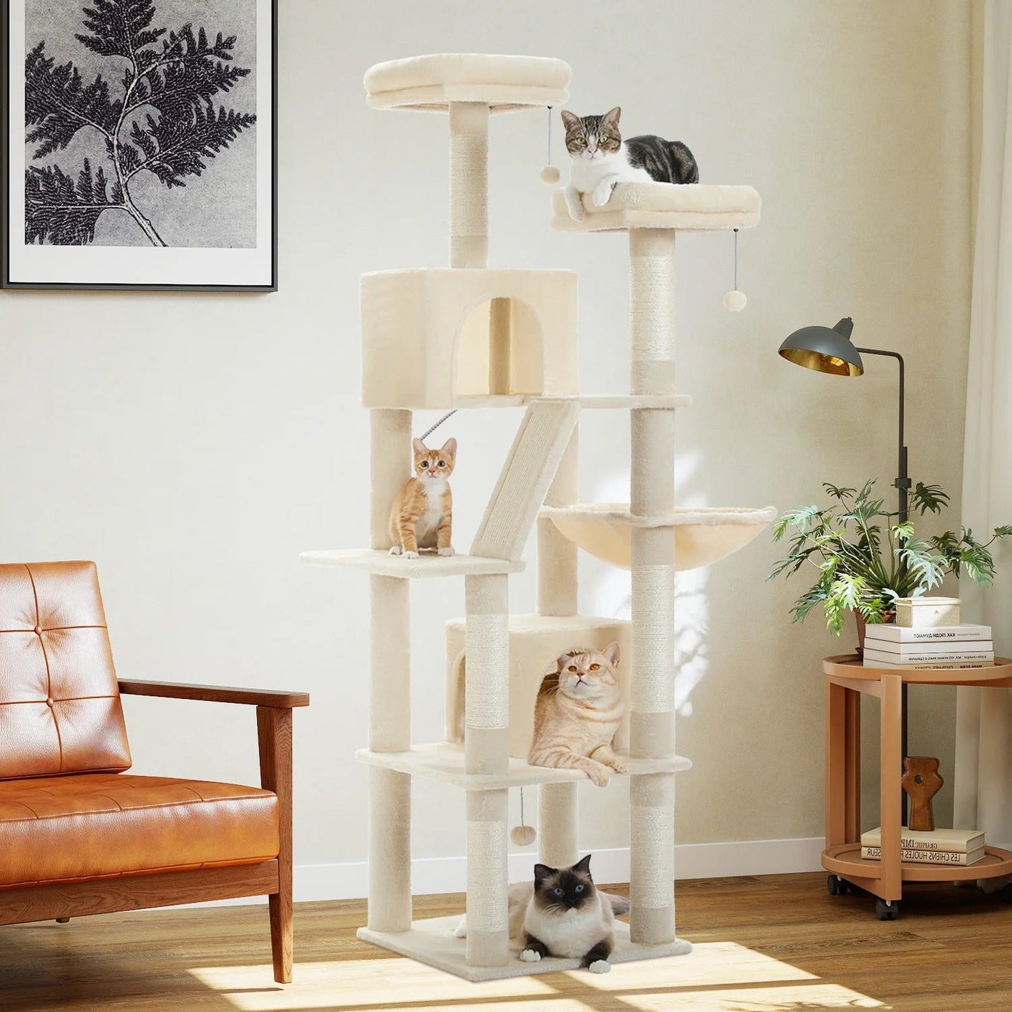FelineKingdom arbre a chat maine coon – multi-niveaux