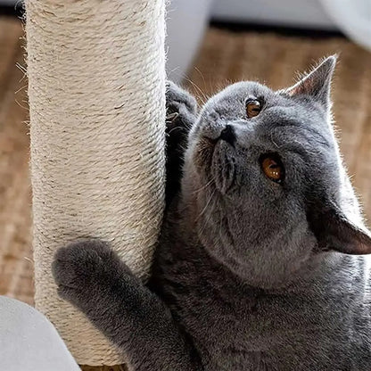 SkyNest Arbre a chat Design Bois Massif