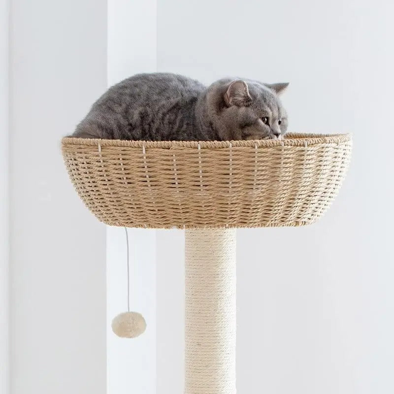 SkyNest Arbre a chat Design Bois Massif